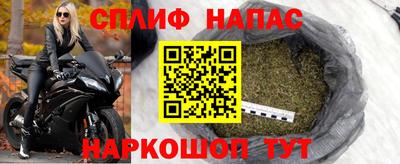 гашик Гусь-Хрустальный