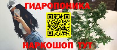 гашик Гусь-Хрустальный
