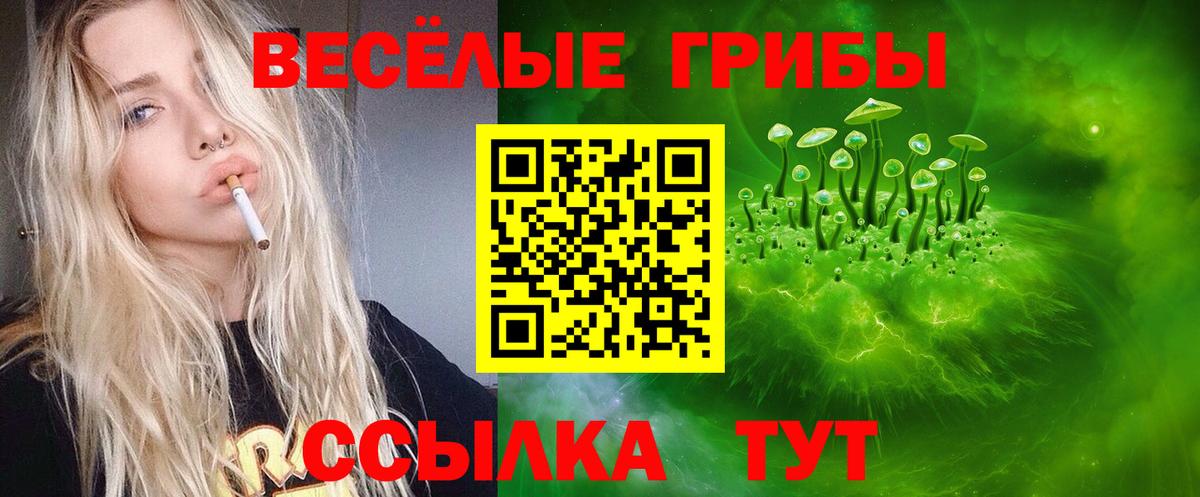 Псилоцибиновые грибы GOLDEN TEACHER Глазов