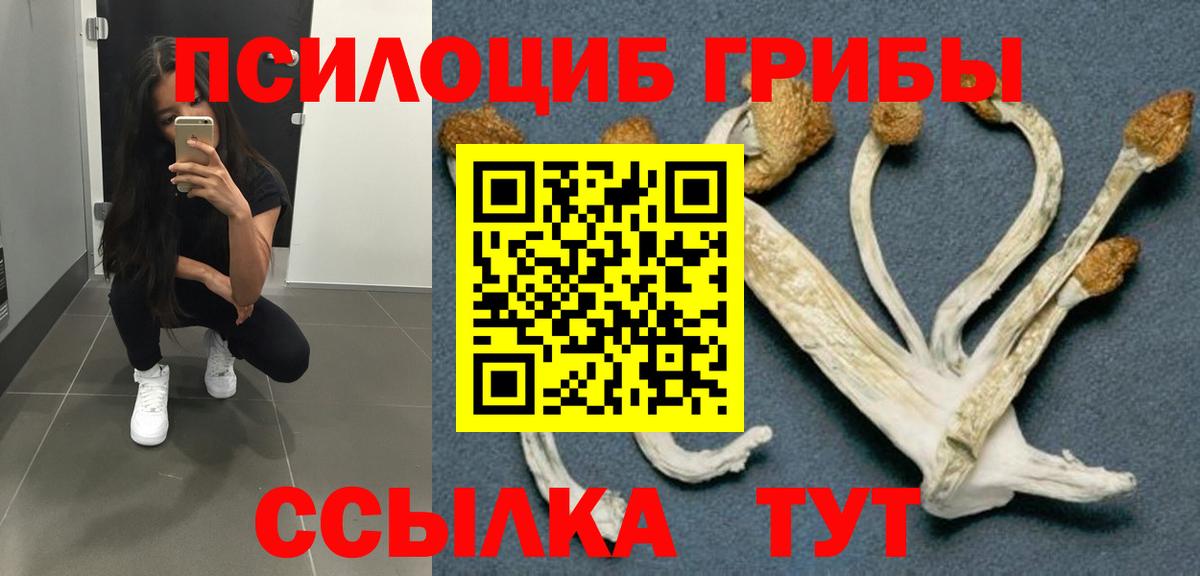 Псилоцибиновые грибы Psilocybe  Вход с VPN  Глазов  Галлюциногенные грибы Magic Shrooms 